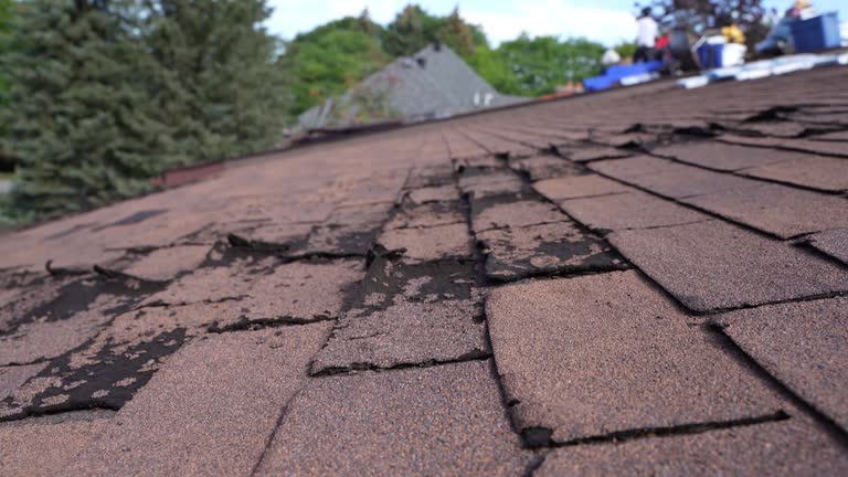 Fast & Reliable Emergency Roof Repairs in Fowler, MI